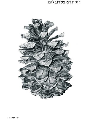 cover image of רוקח האיצטרובלים